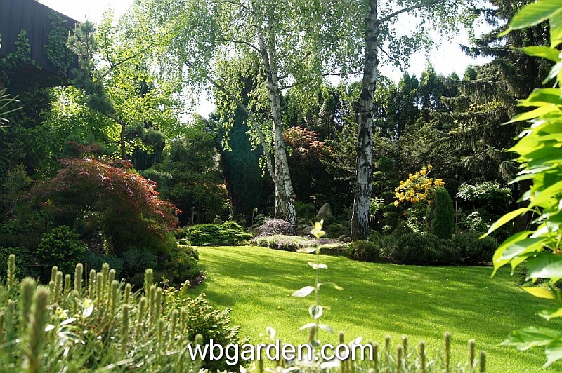 wbgarden spring 70.JPG
